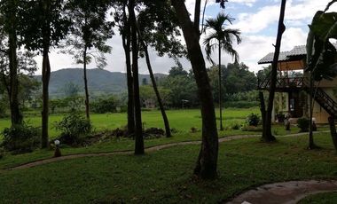 4 Bedroom House for rent in Pa O Don Chai, Chiang Rai