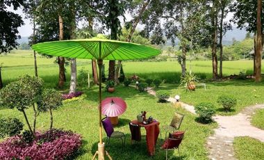 4 Bedroom House for rent in Pa O Don Chai, Chiang Rai