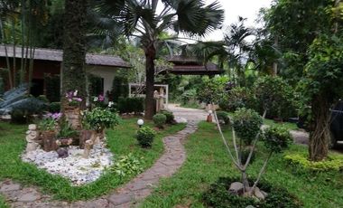 4 Bedroom House for rent in Pa O Don Chai, Chiang Rai
