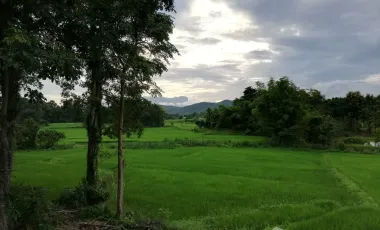 4 Bedroom House for rent in Pa O Don Chai, Chiang Rai