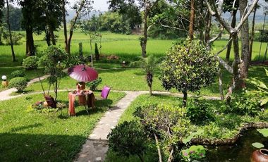 4 Bedroom House for rent in Pa O Don Chai, Chiang Rai