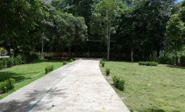 4 Bedroom House for rent in Pa O Don Chai, Chiang Rai
