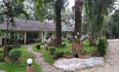 4 Bedroom House for rent in Pa O Don Chai, Chiang Rai