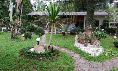 4 Bedroom House for rent in Pa O Don Chai, Chiang Rai