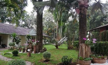 4 Bedroom House for rent in Pa O Don Chai, Chiang Rai