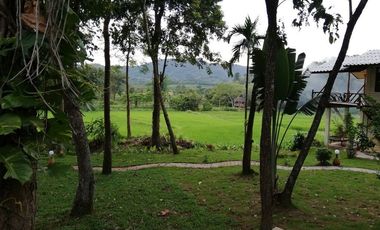4 Bedroom House for rent in Pa O Don Chai, Chiang Rai