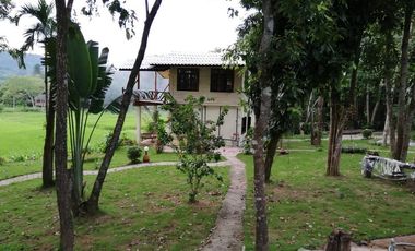 4 Bedroom House for rent in Pa O Don Chai, Chiang Rai