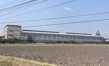Warehouse for sale in Bang Khwan, Chachoengsao