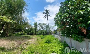 Land for sale in Mae Chan, Chiang Rai