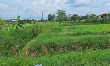 2 Bedroom House for sale in Khao Din Phatthana, Saraburi