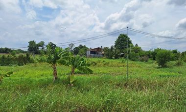 2 Bedroom House for sale in Khao Din Phatthana, Saraburi