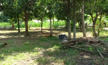 3 Bedroom House for sale in , Buri Ram
