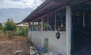 2 Bedroom House for sale in Sa Kruat, Phetchabun