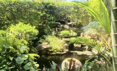 4 Bedroom Villa for sale at Laddarom Elegance Wongwan-Sathorn