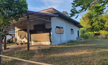 1 Bedroom House for sale in Na Khu, Nakhon Phanom