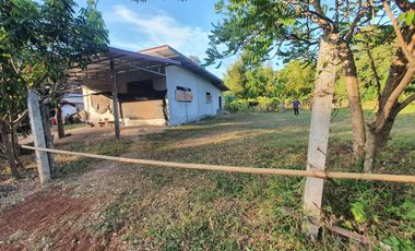1 Bedroom House for sale in Na Khu, Nakhon Phanom