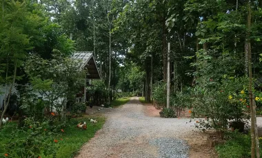 2 Bedroom House for sale in Pa Ko Dam, Chiang Rai