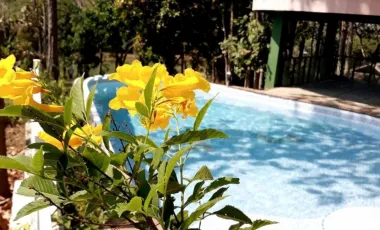 3 Bedroom House for sale in Rop Wiang, Chiang Rai