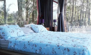 3 Bedroom House for sale in Rop Wiang, Chiang Rai