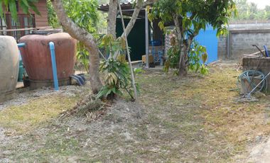 2 Bedroom House for sale in Ban Tam, Phayao