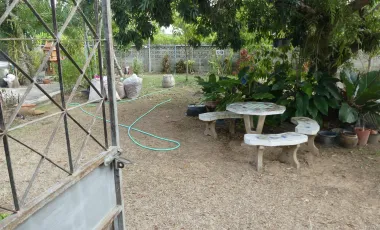 2 Bedroom House for sale in Ban Tam, Phayao