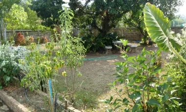 2 Bedroom House for sale in Ban Tam, Phayao