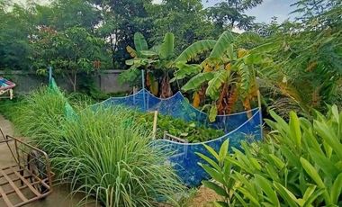 2 Bedroom House for sale in Bung, Amnat Charoen