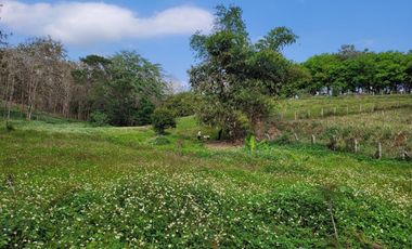 Land for sale in Chan Chawa, Chiang Rai