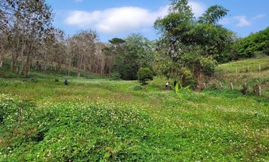 Land for sale in Chan Chawa, Chiang Rai