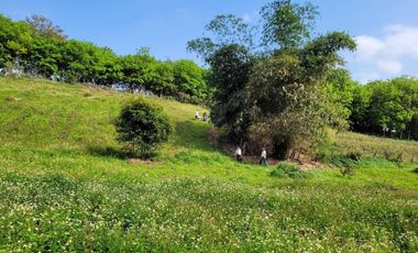 Land for sale in Chan Chawa, Chiang Rai