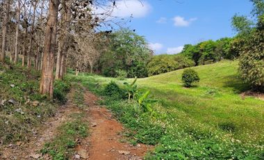 Land for sale in Chan Chawa, Chiang Rai