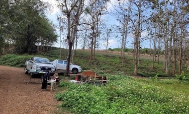 Land for sale in Chan Chawa, Chiang Rai