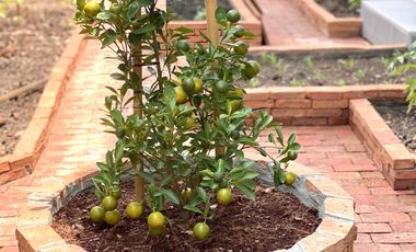 3 Bedroom House for sale at Villaggio Rangsit-Klong 2