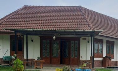 2 Bedroom House for sale in Don Mun, Phrae