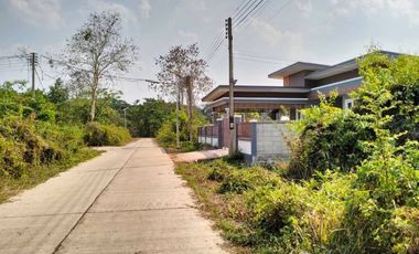Land for sale in Mueang Phan, Chiang Rai