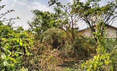 Land for sale in Mueang Phan, Chiang Rai