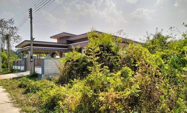 Land for sale in Mueang Phan, Chiang Rai