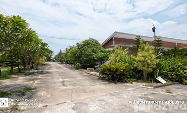 Land for sale in Mueang Phan, Chiang Rai