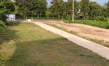 Land for sale in Mueang Phan, Chiang Rai