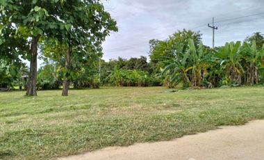 Land for sale in Mueang Phan, Chiang Rai