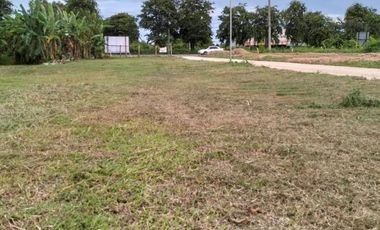 Land for sale in Mueang Phan, Chiang Rai