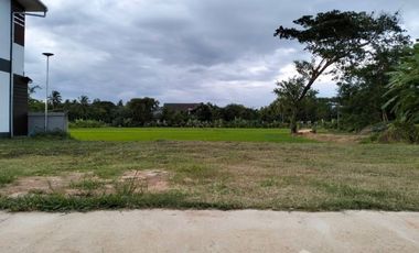 Land for sale in Mueang Phan, Chiang Rai
