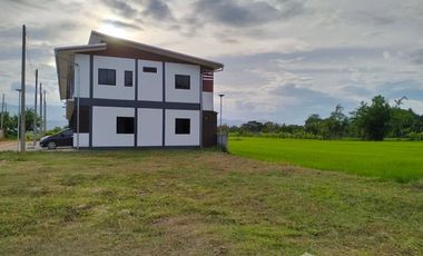 Land for sale in Mueang Phan, Chiang Rai