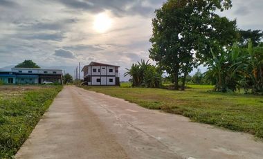 Land for sale in Mueang Phan, Chiang Rai