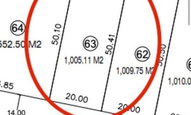 Nave Industrial en venta Cerca carretera Zapotlanejo