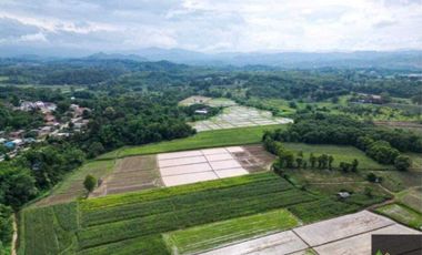 Land for sale in Mae Chan, Chiang Rai