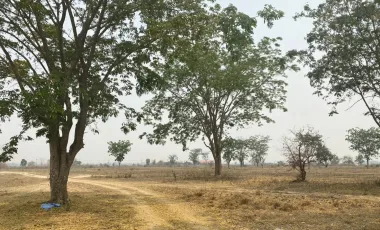 Land for sale in Rong Chang, Chiang Rai