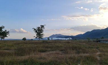 Land for sale in Rong Chang, Chiang Rai