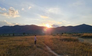 Land for sale in Rong Chang, Chiang Rai