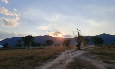 Land for sale in Rong Chang, Chiang Rai